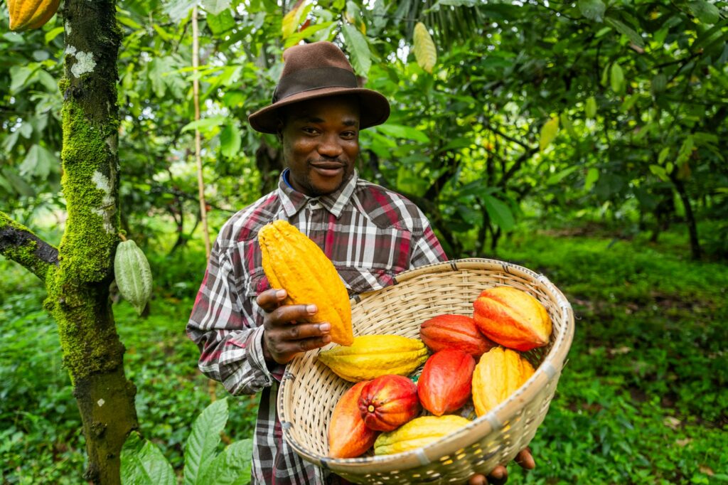 Investing in African Agriculture: Unlocking Untapped Potential